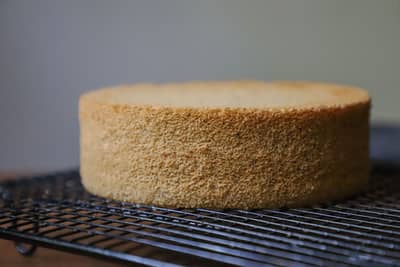 A golden genoise sponge cooling on a wire rack
