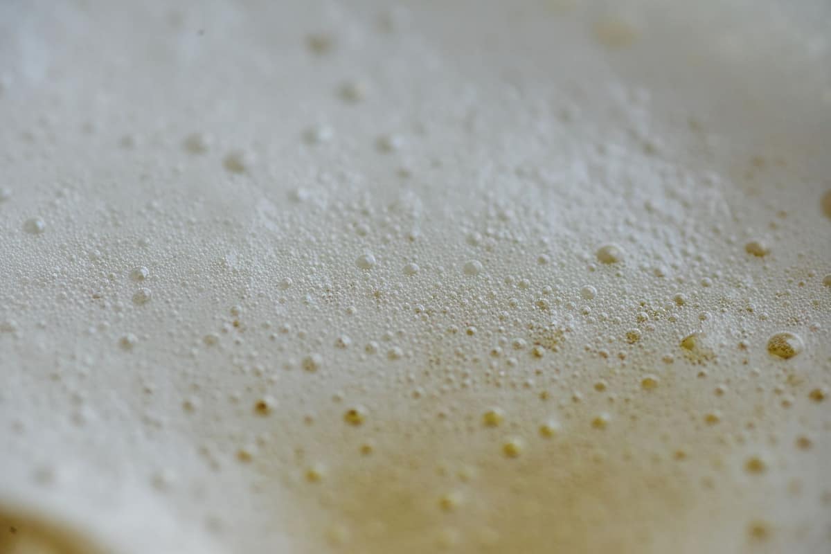 A bubbly, active poolish pre-ferment
