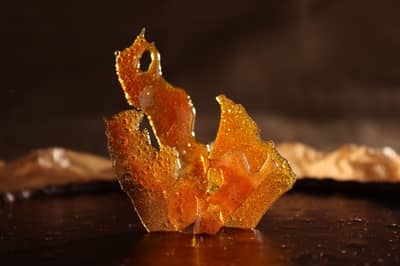 An amber pulled-sugar showpiece on a serving plate